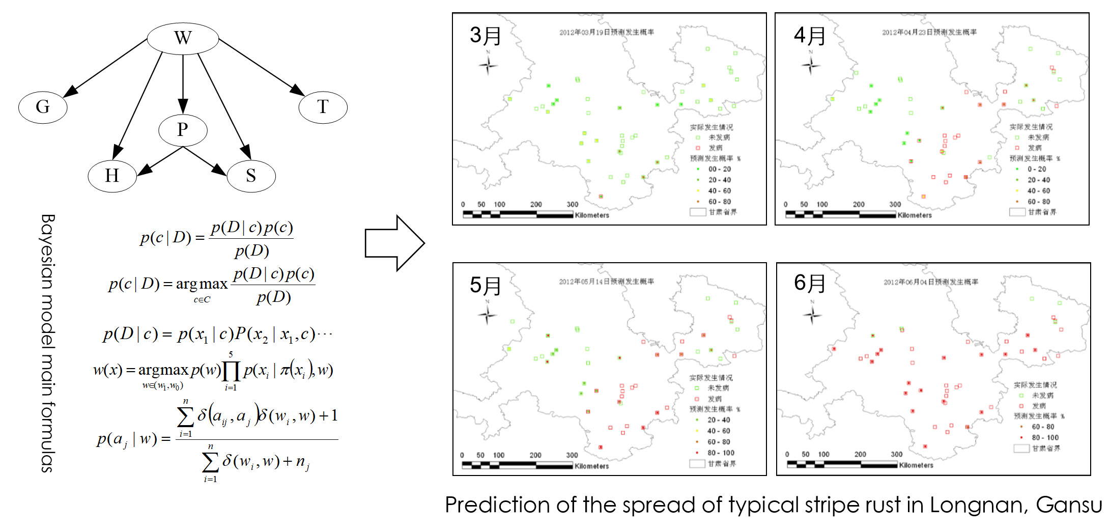 Prediction of the spread of typical stripe rust in Longnan, Gansu