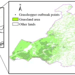 Spatial distribution of Hulunbuir Grassland