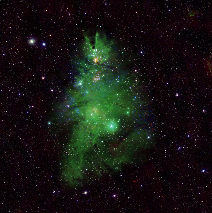 Daily Telescope: A colorful Christmas tree in the night sky