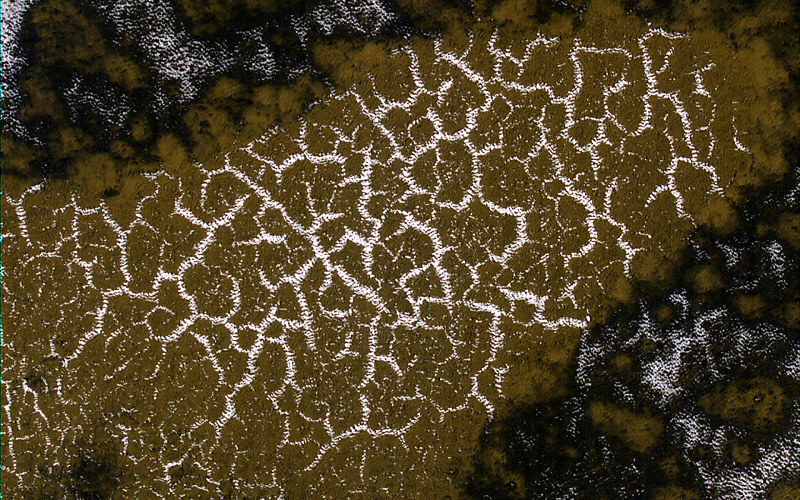 Daily Telescope: See carbon dioxide sublimating on Mars