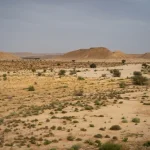Saudi Arabia Launches 142 Sustainable Investment Opportunities Satellite Remote Sensing Advances Ecological Monitoring
