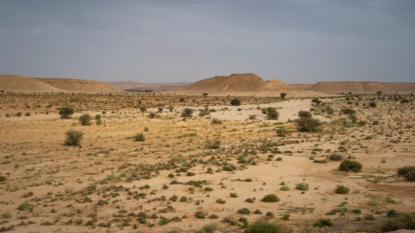 Saudi Arabia Launches 142 Sustainable Investment Opportunities Satellite Remote Sensing Advances Ecological Monitoring