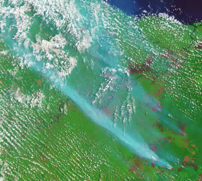 September 2015 A false-color Landsat 8 image shows fire hotspots (orange) and smoke (blue) over Jambi Province, Sumatra. Image NASA Earth Observatory (Joshua Stevens, using USGS Landsat data)