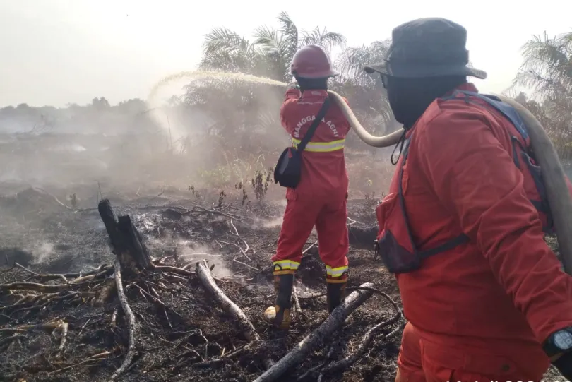 Tim Manggala Agni berjibaku memadamkan kebakaran lahan gambut di Provinsi Riau