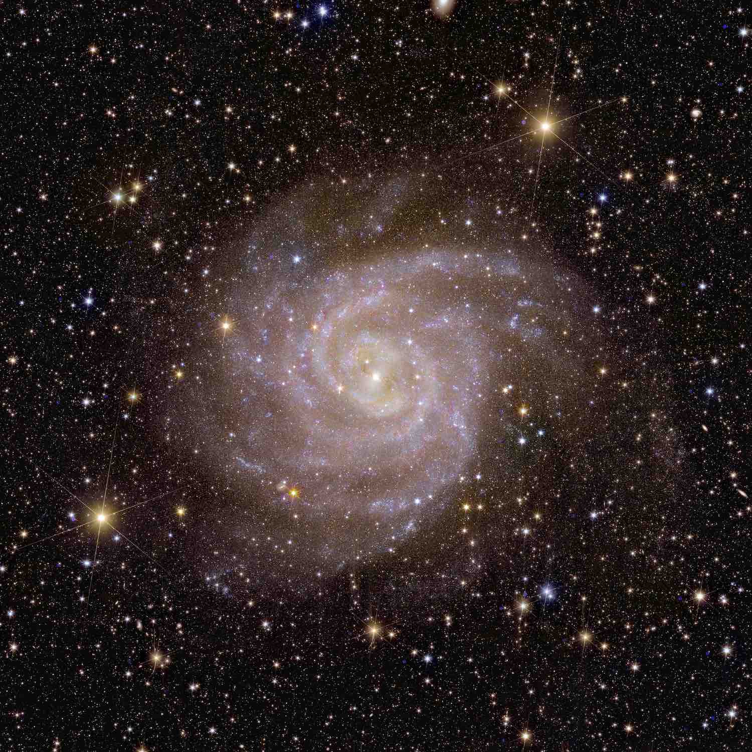 Scientists show off the wide vision of Europe’s Euclid space telescope