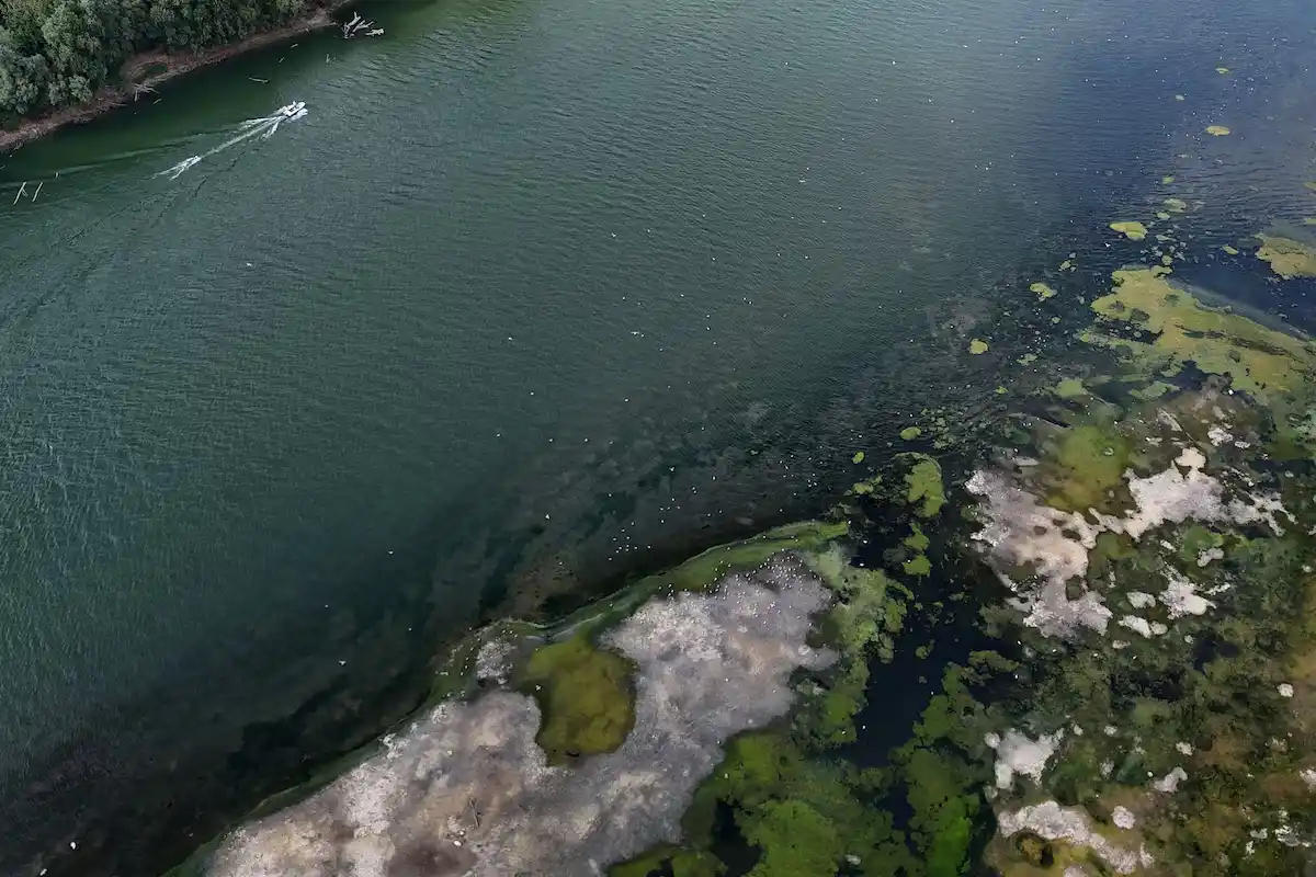 A drone view of a boat sailing near the exposed riverbed of the Danube River at record-low water levels, in Sandrovo, Bulgaria, August 13, 2026. REUTERSStoyan Nenov