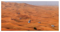 Flamboyant Dubai