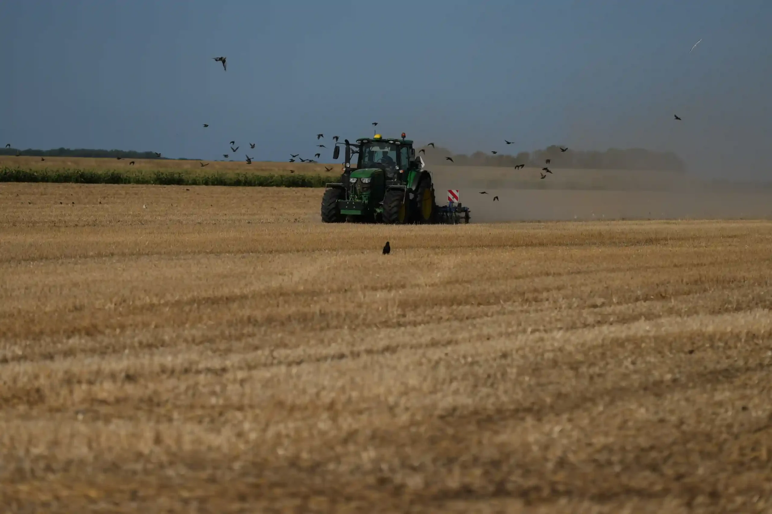 Farmer Maarten Janse drives his tractor on a drought stricken wheat field in Wolphaartsdijk, Netherlands, Tuesday, Aug. 11, 2026. (AP PhotoVirginia Mayo)