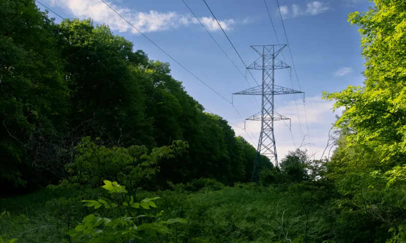 From Post-Disaster Repairs to Early Warning: How to Identify High-Risk Power Line Corridors for Vegetation Management