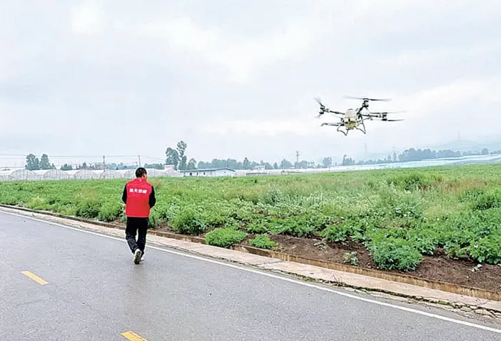 Technicians from Sichuan Aerospace Shiyuan Technology conduct drone-based crop protection operations in Butuo County. Photo by Chen Liangxing