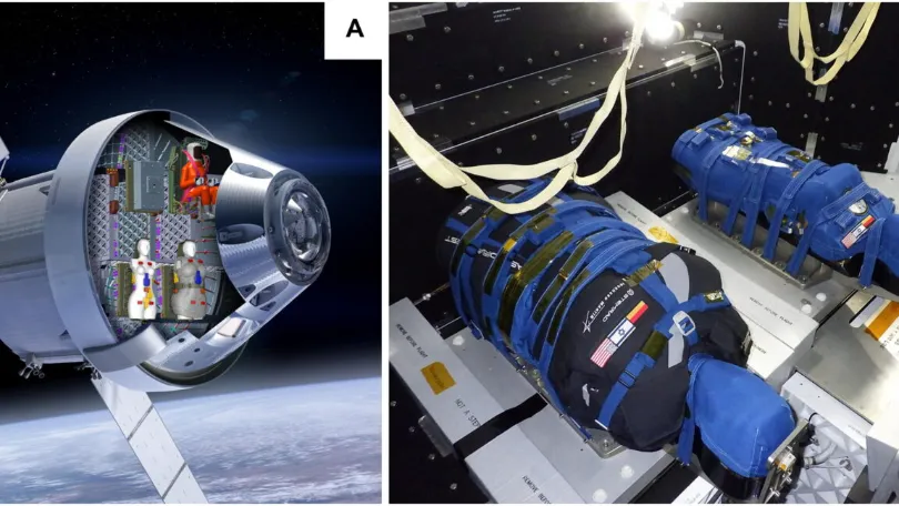 We’ve flown a radiation-blocking vest to the Moon and back, and it worked
