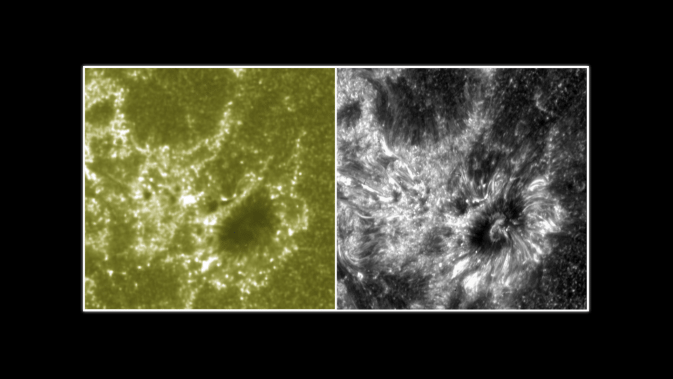NASA’s IRIS Shares First Images