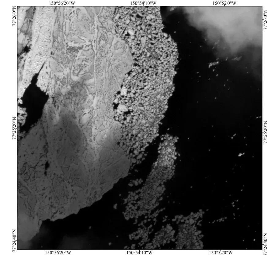 5-meter panchromatic imagery from the Coastal Zone Imager