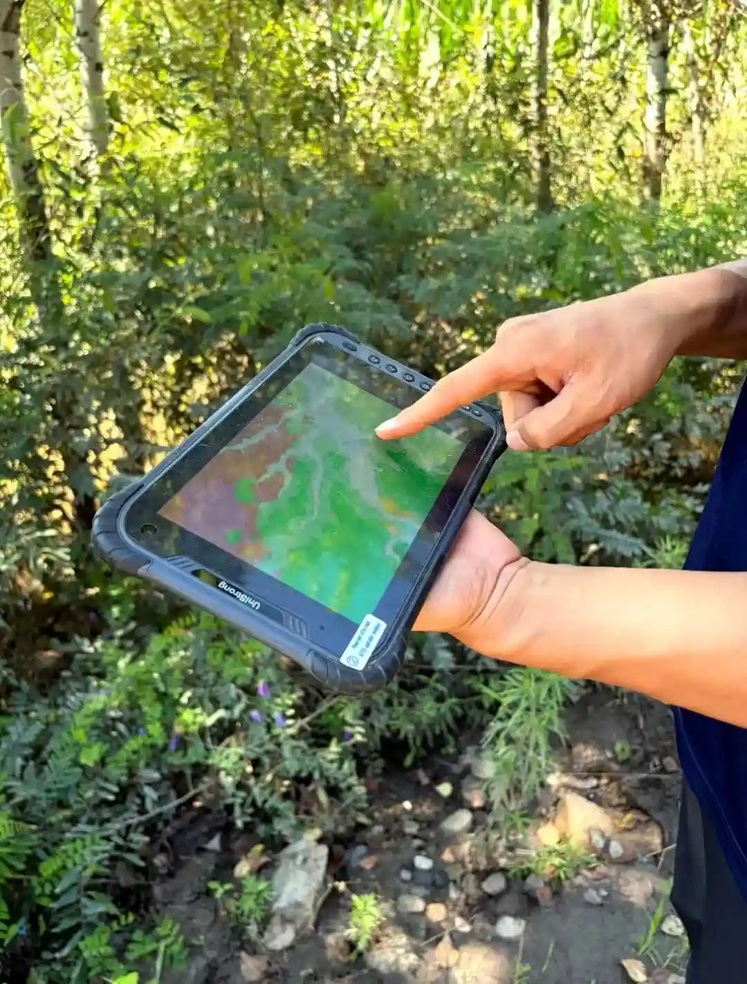 In forested areas, the Intelligent Geological Mapping system serves as an important field assistant for technical personnel.