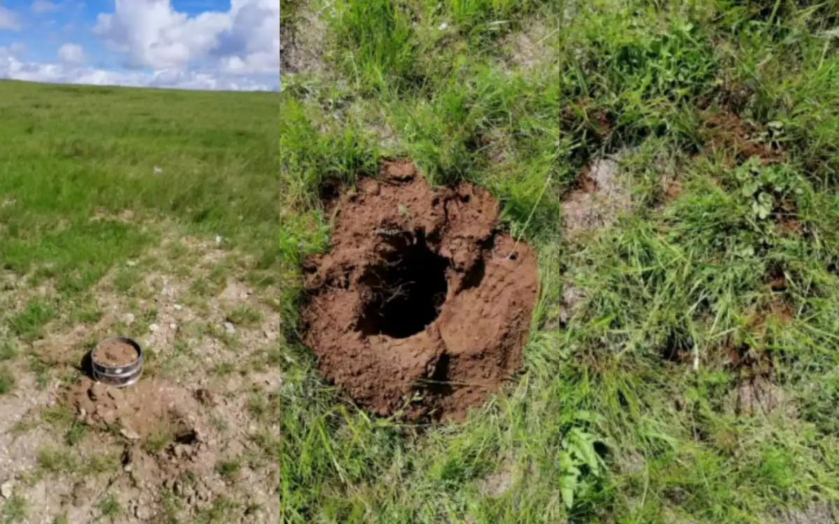 Minimally invasive soil survey operation