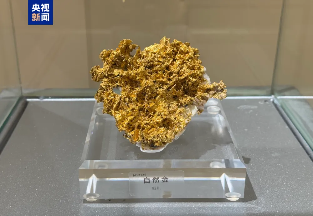 Native gold. Photo by Wang Zehua.