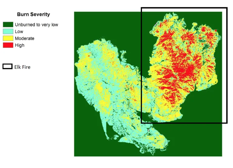 Lightning strikes started the August 2013 Elk Complex Fire in Idaho’s Boise National Forest.