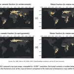 WorldCereal 2021 seasonal crop type maps